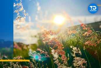 El equinoccio de primavera pronto llegará a México con sus increíbles efectos