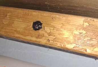 Cableado de las cámaras llegaba hasta la casa del arrendador de los departamentos. | Telediario