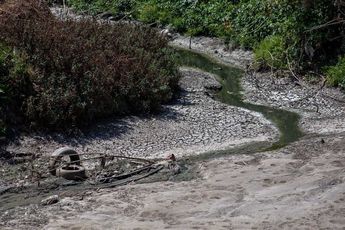 Río Atoyac | Andrés Lobato