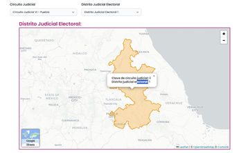 Puedes ubicar tu distrito judicial utilizando el mapa dinámico del INE / Especial