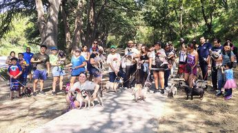 Cerca de 50 pugs asistieron al evento para acompañar a los cumpleañeros. | Miranda Arias