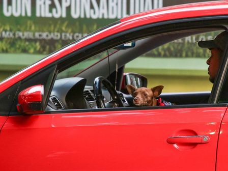Consulta EN VIVO el estatus de la Autopista que une a Puebla y Ciudad de México / Agencia Cuartoscuro