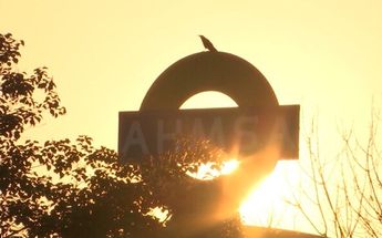 Reactivación de AHMSA en Monclova.