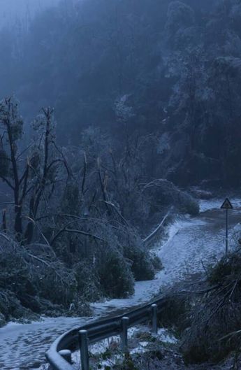 La temporada se extenderá hasta mayo y mantendrá bajo vigilancia las condiciones meteorológicas de Coahuila.