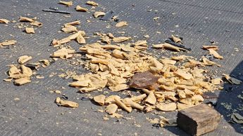 Los tacos dorados quedaros esparcidos por el suelo y el conductor resultó herido | Foto: Juan Carlos Munguía