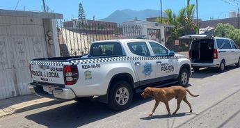 Mayté tenía su domicilio en la colonia Barrio Nuevo del municipio de Orizaba, donde vivía debido a su trabajo como médico residente / Especial