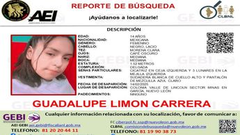Ficha de búsqueda de Guadalupe Limón Carrera