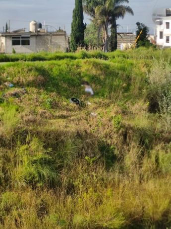 Vecinos alertaron la presencia de un cuerpo de una persona con acondroplasia en San Sebastián de Aparicio / Jesús Zavala