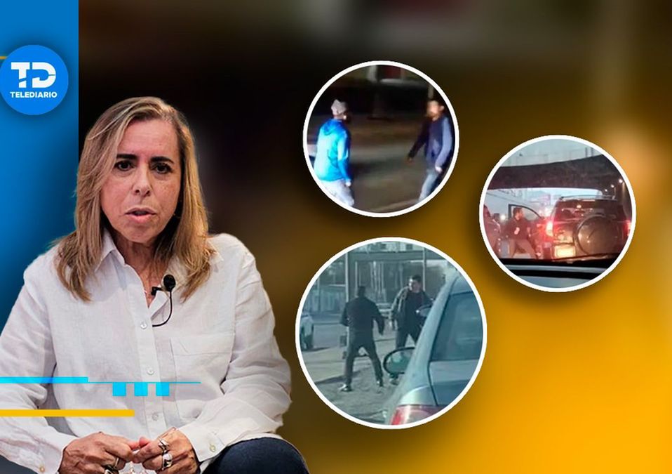 La especialista de salud afirmó que la pandemia acentuó algunas conductas y la falta de control de las emociones. | Fabricio Gallegos