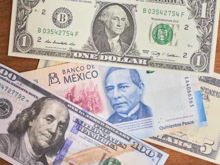 Si vas a comprar o vender dólares, es importante que cheques su precio en pesos mexicanos | Freepik