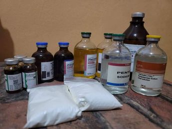 Sedantes para animal vendidos desde Puebla, México para el suicidio de extranjeros / Especial