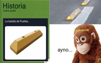 Memes de la ciclovía en Puebla / Especial