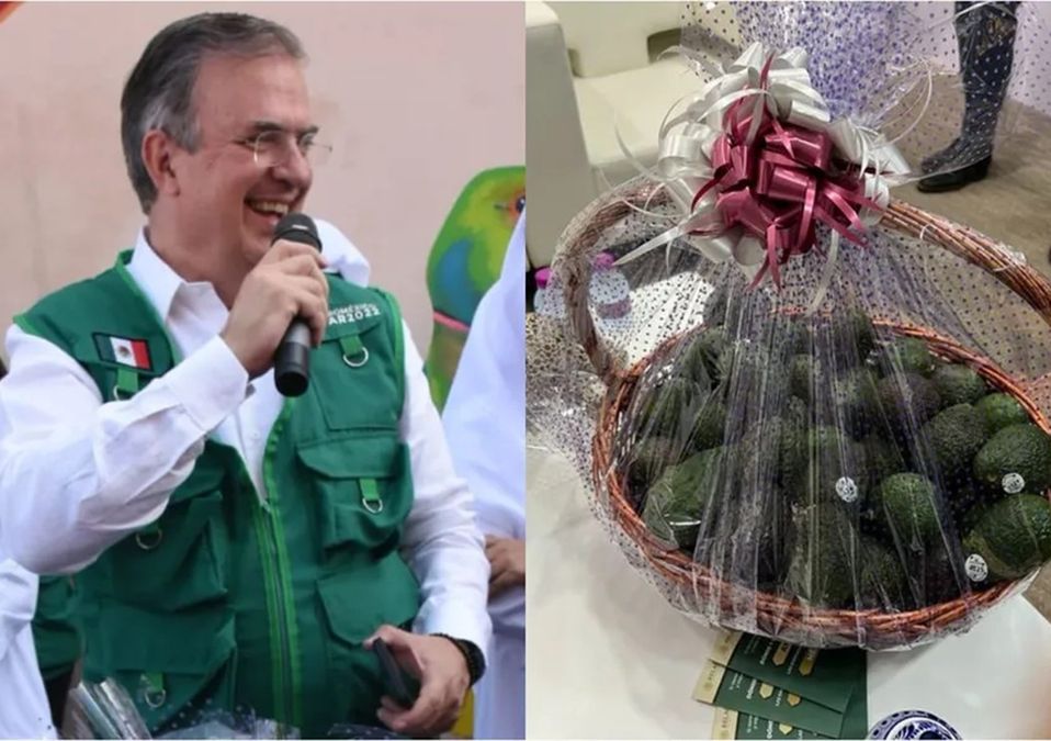 Ebrad presume llegada del primer embarque de aguacate a Qatar