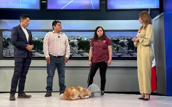 Perrito maltratado visita TD Guadalajara/ Especial