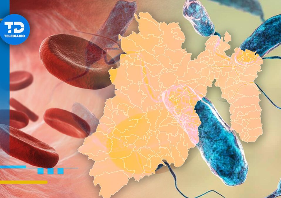 Emiten alerta epidemiológica por bacteria Klebsiella oxytoca; afecta al torrente sanguíneo / Óscar Ávila