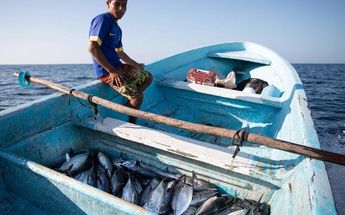 Sader anuncia premio a la pesca y acuacultura sustentable en México