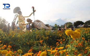 Valle de Catrinas en Atlixco Puebla / Melanie Torres