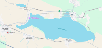 Geográficamente la laguna está ubicada en la zona metropolitana de Guadalajara | Google Maps