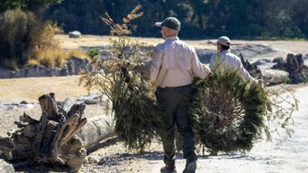 El material recolectado será procesado para la elaboración de composta y otros insumos ecológicos | Especial