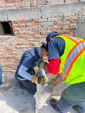Lomito después de ser rescatado por elementos de Bomberos