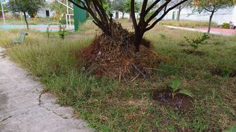 PARQUE PÚBLICO