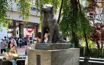 Estatua en honor a Hachiko en Japón /Cortesía