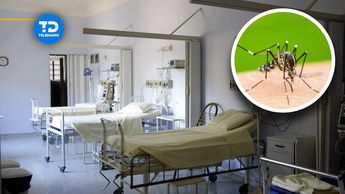 La Secretaría de Salud de Nuevo León pidió a la ciudadanía cuidarse del dengue. | Especial