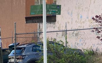En algunas nomenclaturas aparece Lemonnier de manera correcta / Dalia Rojas