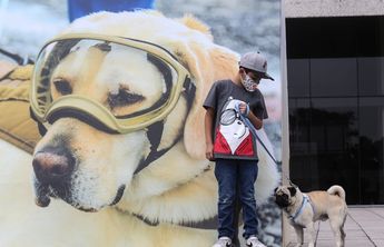 Realizan homenajea Frida, la perrita rescatista/ Araceli López