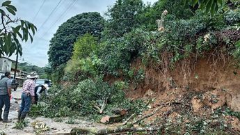 Lluvias provocan deslaves, caídas de árboles y accidentes en Sierra Norte de Puebla
