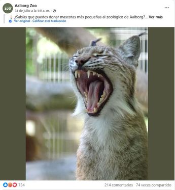 Publicación del Zoológico de Aalborg en redes sociales. | Fb: Aalborg Zoo