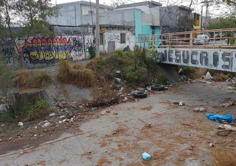 Vecinos denuncian presencia de animales muertos en arroyo de Monterrey