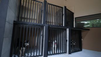 Autoridades estatales reiteraron que este lugar no es una perrera | Jorge López