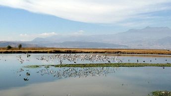 El río Santiago está en proceso de ser recuperado y limpiado, aunque este proceso puede tomar años para completarse