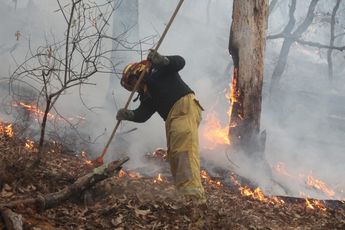 Se percibe panorama favorable en la lucha por sofocar incendios en Nuevo León: PC