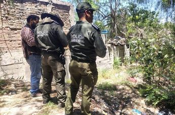 Una vez realizada la valoración de salud del oso, se determinará a qué sitio será enviado o si se reubicará en otro punto.| Daniel Santiago
