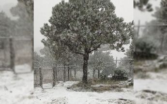 Caída de nieve en CdMx / Twitter: @martibatres.