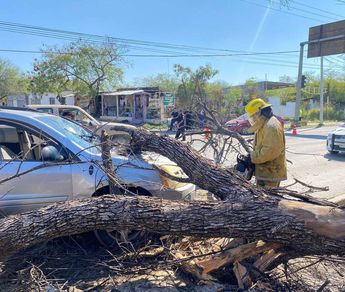 Los hechos se registraron sobre la avenida Calzada Modesto Galvan  en su cruce con la avenida Álamo / Especial