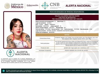 Ficha de búsqueda de Violeta Alejandra. | Comisión Nacional de Búsqueda de Personas
