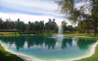 Estanque en el Parque Guadiana.