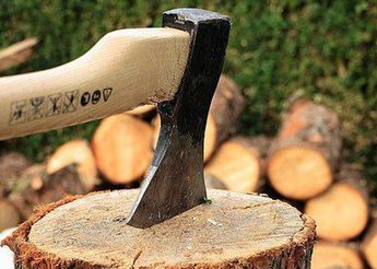 Tala ilegal de árboles en Topilejo /Pixabay