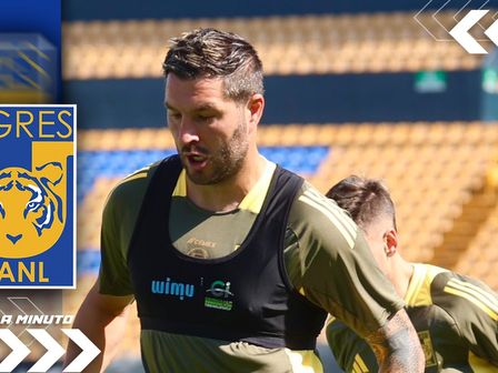 Los felinos están cerca de su regreso a la actividad / @TigresOficial