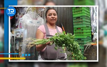 Precio del cilantro sube 400% en un mes por clima adverso en Puebla / Melanie Torres