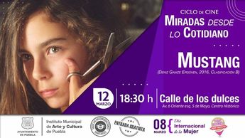 Cine al aire libre en el Centro Histórico de Puebla IMACP / Instituto Municipal de Arte y Cultura Puebla