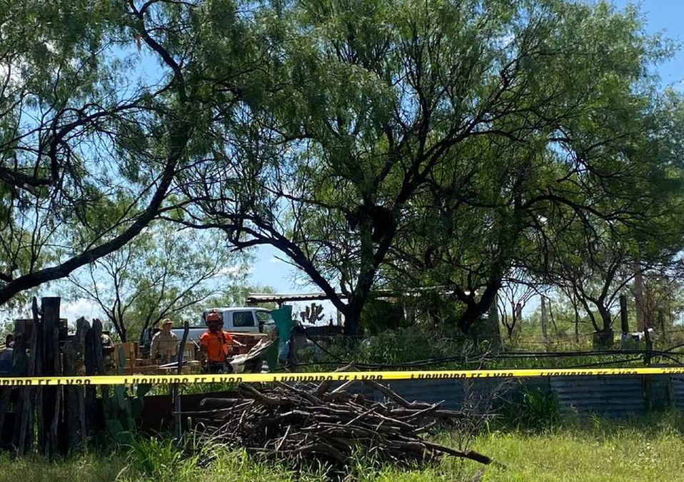 Rescatan a oso que fue encontrado en un rancho en Apodaca. | Frida Rodríguez