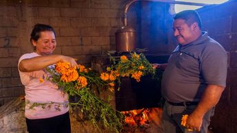 Las flores de cempasúchil se incorporan en el alambique durante el proceso de destilación del mezcal | Melanie Torres