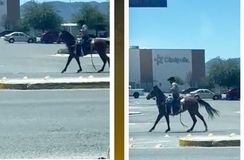 El video en donde se observa al hombre montar su caballo en calles de Saltillo se ha viralizado en redes sociales. | Diseño: Oscar Avila