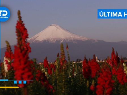 El semáforo de alerta volcánica del Popocatépetl está en Amarillo Fase 2 HOY 19 de febrero 2025 / Es Imagen