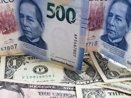 El dólar inició el mes de marzo con una gran apreciación | Freepik
