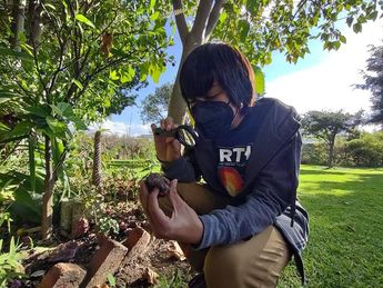 Pablo, es apasionado de los insectos y acude al jardín etnobotánico de Cholula para investigar / Jaime Carrera